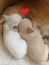 LOVE&PEACE