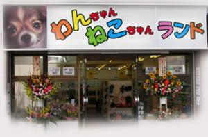 わんちゃんねこちゃんランド 川崎本店