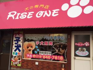 RISE ONE(ライズワン) 秋田店