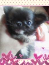 FOR YOU