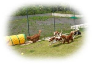 キャバリアの館 FELIZ NENE ♪♪