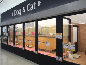 マルワン鎌ヶ谷店