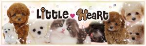 ペットショップLittleHeaRt