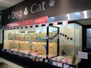 マルワン武蔵浦和店(JR武蔵浦和駅)