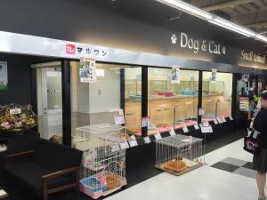 マルワン 梅島店(東京都)