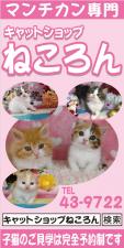キャットショップねころん