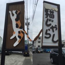 猫カフェ ねこじゃらし