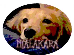 MIALAKARA