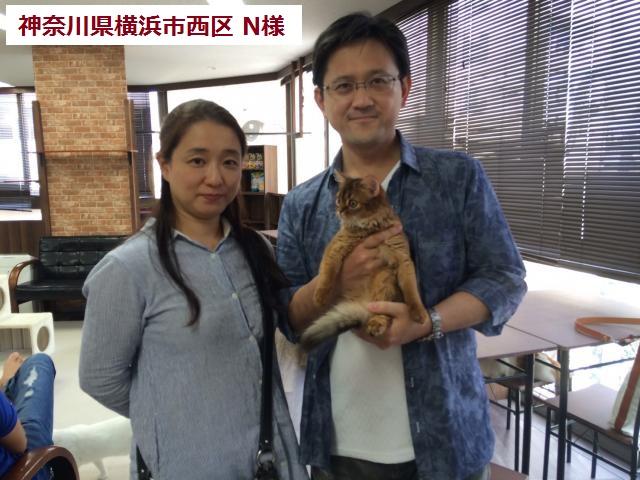 ソマリ【トヨタ自動車フェイスブック出演猫★映画出演予定】