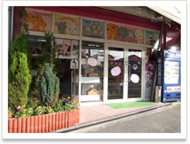 フェレット チンチラ等の小動物専門店 ペットショップ マリン Marin 兵庫県 子犬や子猫たちのペット販売情報が満載 ペットステーション