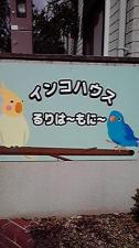 インコハウス るりは~もに~