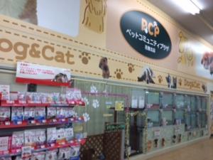 ペットコミュニティプラザ花卷北店
