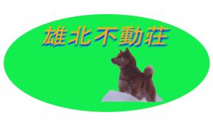 柴犬専門犬舎 雄北不動荘