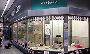 ペットショップマルワン大倉山店(横浜市)