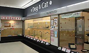 マルワン港北NT店
