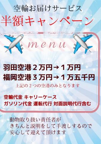 羽田空港、福岡空港限定で 空港までのお届けサービス料が半額！！ ぜひ、この機会にご利用ください