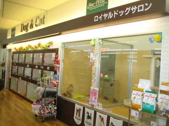 (有)ロイヤルドッグサロン東戸塚店