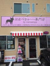 はなぺちゃ~~犬舎
