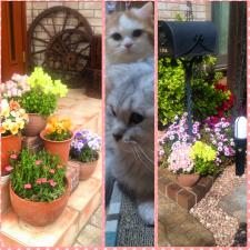 ねこ♡Kuni
