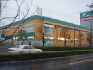 ペットアイランド 浦和中尾店