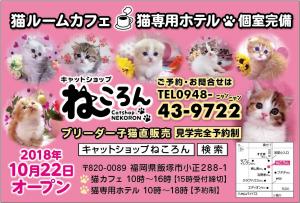 キャットショップねころん