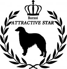 ATTRACTIVE STAR