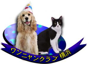 ワンニャンクラブ 横浜