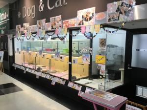 マルワン武蔵浦和店(さいたま市)