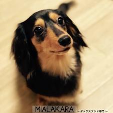 MIALAKARA