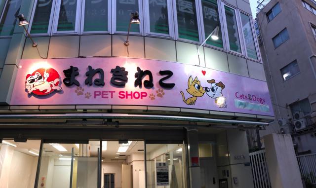 まねきねこペットショップ（東京都） - 子犬や子猫たちのペット販売情報が満載「ペットステーション」