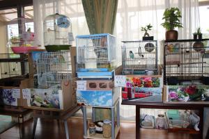 小鳥屋 さくら