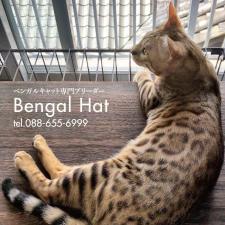 Bengal Hat