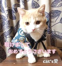 Cat's愛