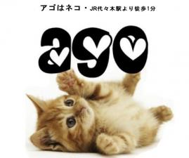 アゴはネコ ネコ専門店・代々木駅徒歩1分ペットショップ