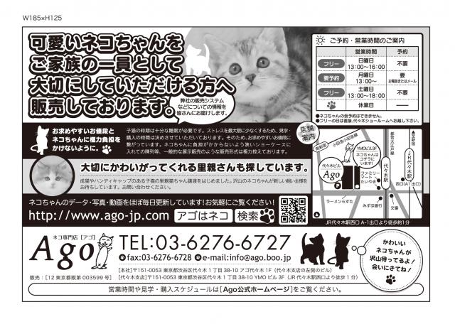 アゴはネコ ﾈｺ専門店代々木駅１分通常販売子猫 里親譲渡ネコ保護猫 東京都 子犬や子猫たちのペット販売情報が満載 ペットステーション