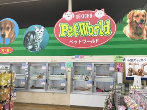 ディスワン川越南古谷店 埼玉県 ペットショップ