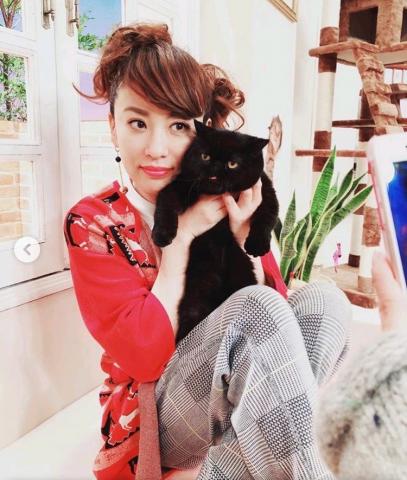 祝 女優 鈴木砂羽さん公式インスタグラムに出演 タレント猫専門店 ねこランド春日部西口店 子犬や子猫たちのペット販売情報が満載 ペットステーション 祝 女優 鈴木砂羽さん公式インスタグラムに出演 タレント猫専門店 ねこランド春日部西口店 子犬や子猫たちのペット販売情報が満載 ペットステーション