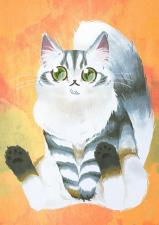 ふくはうすキャッテリー
