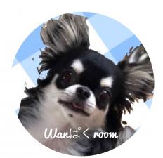 WANぱくROOM