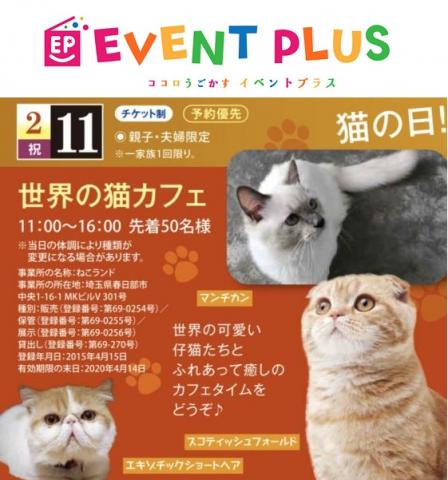 祝 世界の猫カフェ 東京イベントプラス に参加 タレント猫専門店 ねこランド春日部西口店 子犬や子猫たちのペット販売情報が満載 ペットステーション