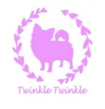 ☆.*°トゥインクルトゥインクル.*・°☆