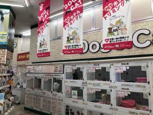 ペットショップAペット 河内長野店
