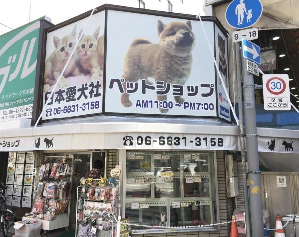 日本愛犬社