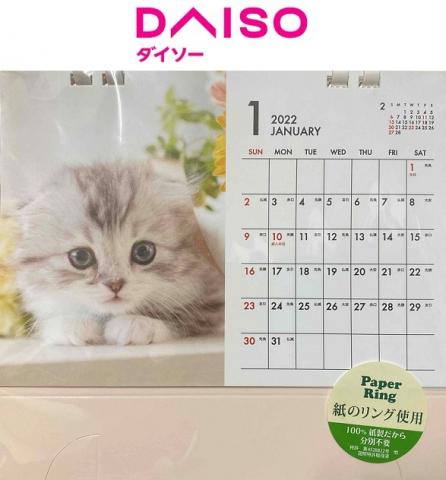 祝 22年卓上カレンダー ダイソー に掲載 タレント猫専門店 ねこランド春日部西口店 子犬や子猫たちのペット販売情報が満載 ペットステーション