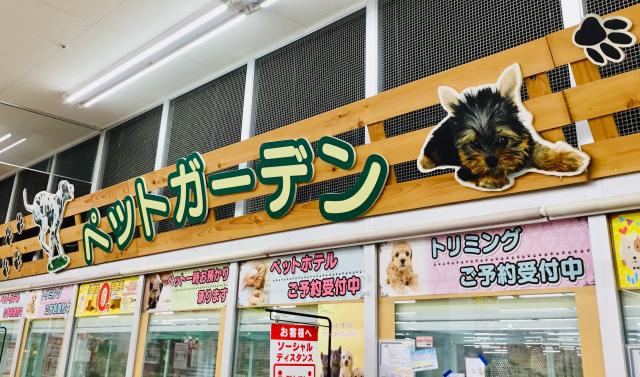 ディスワン狛江 東京都 子犬や子猫たちのペット販売情報が満載 ペットステーション