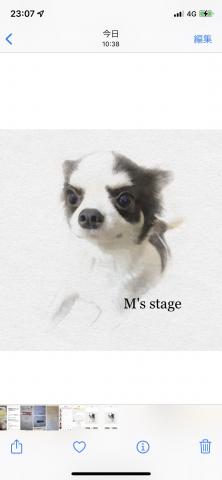 M's stage