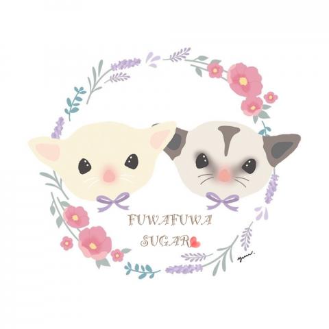FUWAFUWA SUGARの外観