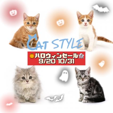 キャットスタイル ペットモデルの子猫専門店