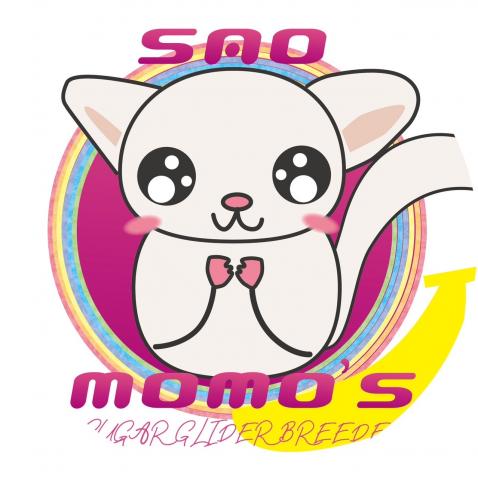 SAO MOMO′S