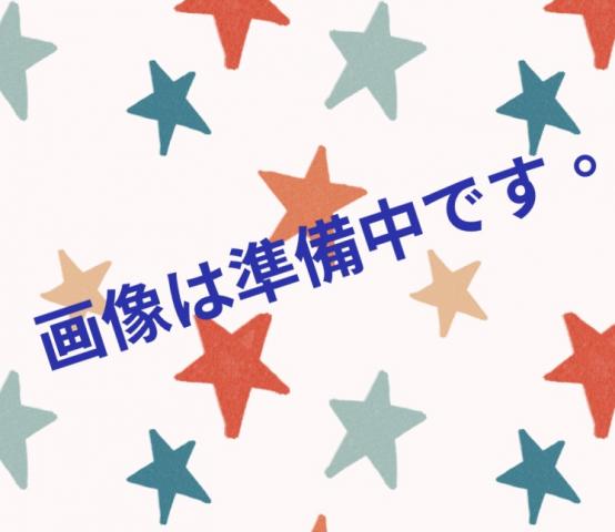 MIXマルプーくん🎃ハロウィンセールのお得プライス🎃『犬のようちえん』ではおトイレを覚えた賢い子🌸全国へお届け可🌸通常総額29万円以上の子を。。。超お得にお迎えできます⭐️早い者勝ち特価⭐️